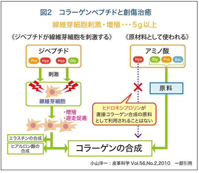 イーゲル 特徴 ハイネ 濃厚流動食品 ハイネイーゲル