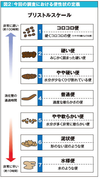 スケール ブリストル